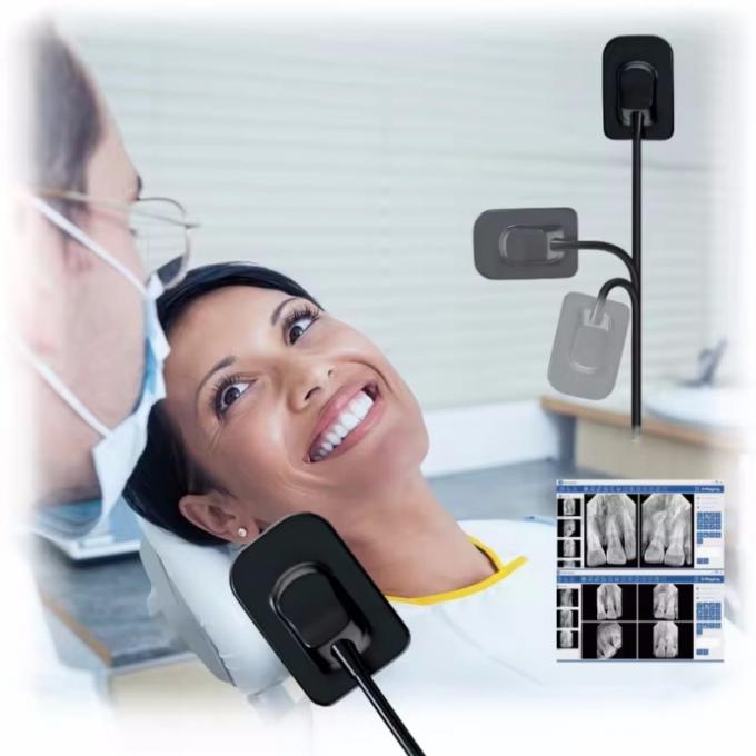 X Ray Produced Rvg App Highly Accurate Digital X-Ray Imaging System USB Connector RVG Handy X ...