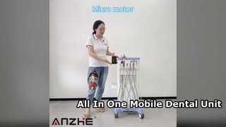 Portable Mobile Dental Unit with Built In Air Compressor Woodpecker Ultrasonic Scaler LED Curing Lig