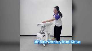 Portable Veterinary Dental Unit with Built-in Air Compressor Ultrasonic Scaler LED Curing Light High