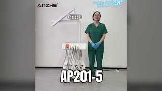 Panda Version Mobile Veterinary Dental Treatment Station AP201-5 with 8 Lights |-Product Introductio