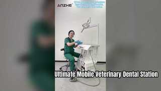 Panda Version Mobile Veterinary Dental Treatment Station with 8-Light  Lamp | Model AP201-5