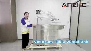3 in 1 Veterinary Workstation with Examination Table LED Surgical Light