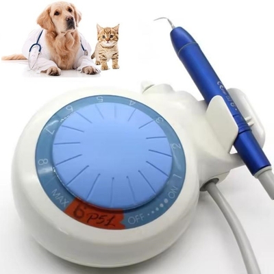 Dental Teeth Clean Device Ultrasonic Dental Scaler LED Pets Dental Ultrsonic Scaler