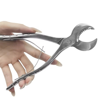 Stainless Steel Dental Forceps Gypsum Plaster Scissors Dental Pliers With Serrated Blade