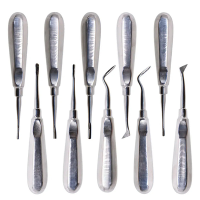 10pcs Dental Elevator Kit Dentist Surgical Tools Stainless Steel Dental Root Elevator