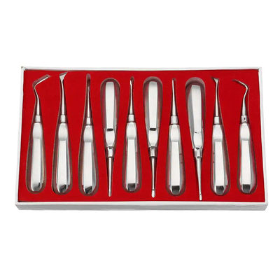 10pcs Dental Elevator Kit Dentist Surgical Tools Stainless Steel Dental Root Elevator