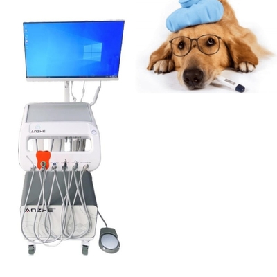 Vet Surgical Dental Treatment Unit With Computer And Build In Air Compressor