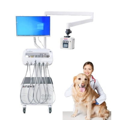 Custom Accept Pet Teeth Therapy Mobile Cart Animal Hospital Veterinary Dental Workstation