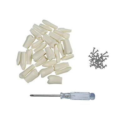 32pcs / Set Dental Typodont Replacement Teeth Dental Student Practice Tools Hardness Resin Teeth