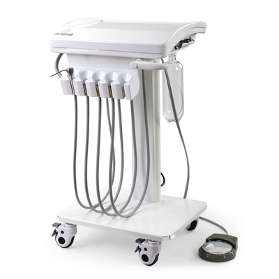 Removable Cart Animal Teeth Cleaning Mobile Unit With Suction Portable Veterinary Dental Unit