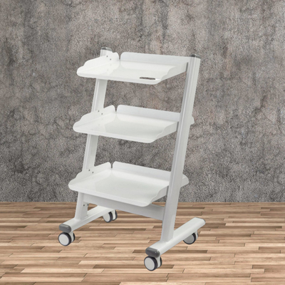 Simple Durable Dental Mobile Cart Stainless Steel Dental Trolley Beauty Salon Use 3 Layers Dental Cart