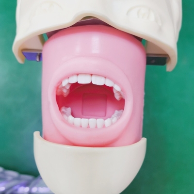 Dental Training Simulation Head Trolley Mounted Dental Phantom Head with Tooth Model for Education and for Practice