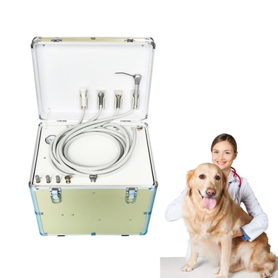 Silent Vet Use Mobile Dental Treatment Unit Suitcase Design Easy To Take Pets Teeth Treatment Equipment Portable Dental Unit