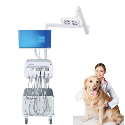 Foshan Professional Dental Factory Vet Use Portable Dental Unit with Operation Light Pet Teeth Therapy Cart