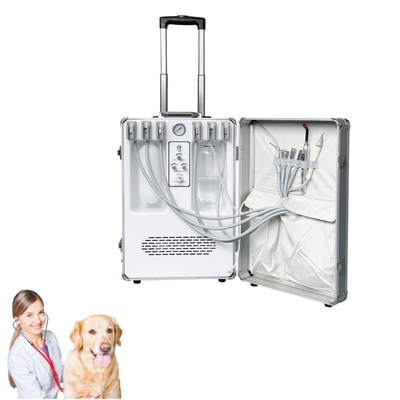 Hand Held Vet Dental Equipment Pets Teeth Treatment Suitcase Animal Teeth Care Veterinary Mobile Dental Treatment Unit
