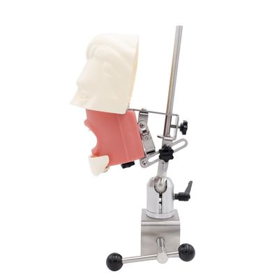 Dental Simuator Education Unit Dental School Simulation Practice System Dental Implant Phantom Head