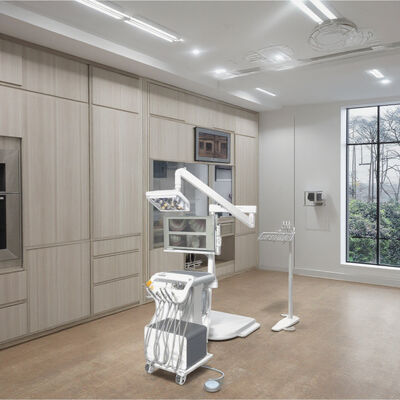 Portable Dental Workstation with Integrated Air Water Systems LED Butterfly Light Autoclavable Silicon Pad Mobile Dental Cart