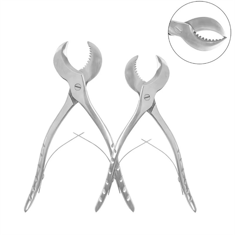 Stainless Steel Dental Forceps Gypsum Plaster Scissors Dental Pliers With Serrated Blade
