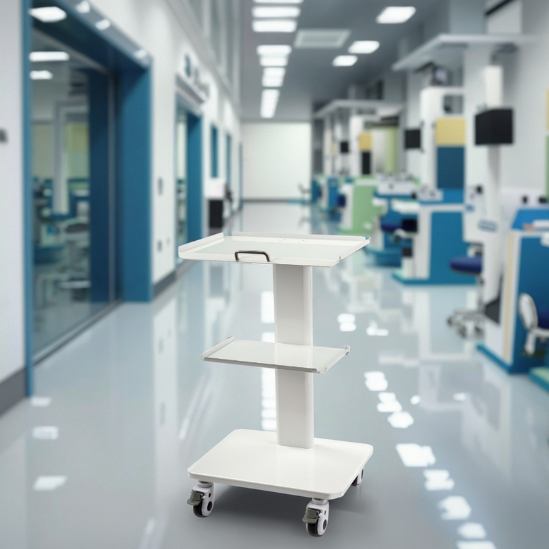 Portable Dental Trolley Multifunctional Mobile 3 Layers Shelf Metal Mobile Cart White Color Dental Tool Trolley