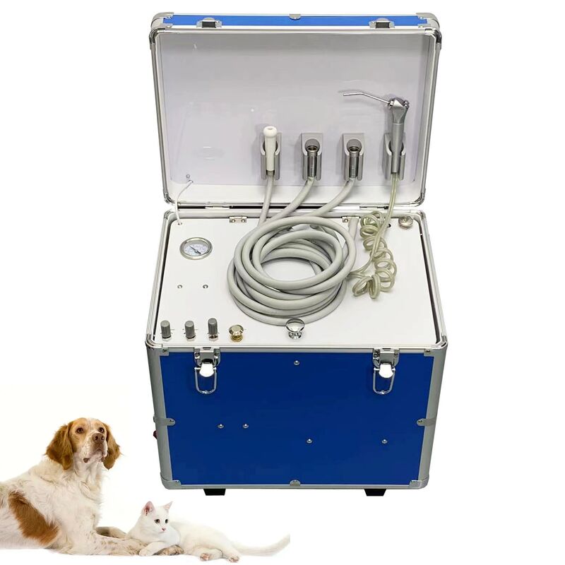 Wholesale Factory Veterinary Portable Dental Unit with Suction Air Compressor | Suitcase Mobile Pet Dental Treatment Box
