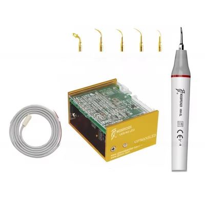 Good price Woodpecker N3 LED Teeth Clean Equipment Ultrasonic Dental Scaler With 6 Tips online