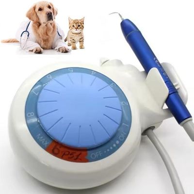 Good price Dental Teeth Clean Device Ultrasonic Dental Scaler LED Pets Dental Ultrsonic Scaler online