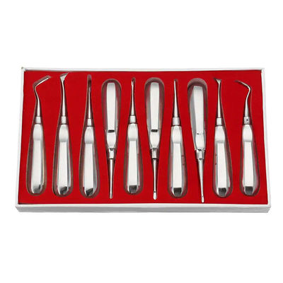 Good price 10pcs Dental Elevator Kit Dentist Surgical Tools Stainless Steel Dental Root Elevator online
