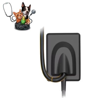 Good price Veterinary Dental Equipment Digital X Ray Imaging System Pet Teeth X Ray Sensor RVG online