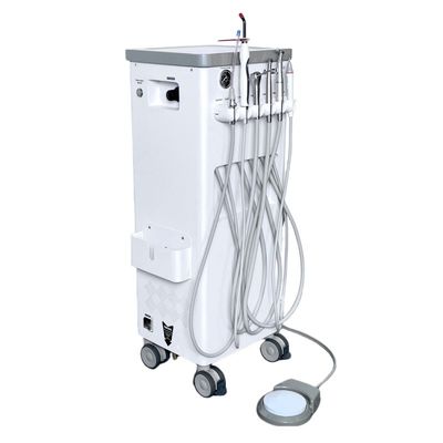 Good price Mini Body Mobile Dental Unit Full Body Metal Pet Dental Operation Unit online