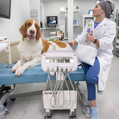 Foshan Veterinary Equipment Factory Mobile Dental Delivery Unit Vet Use Dental Treatment Cart for Small Animals