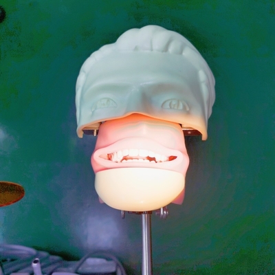 Dental Training Simulation Head Trolley Mounted Dental Phantom Head with Tooth Model for Education and for Practice