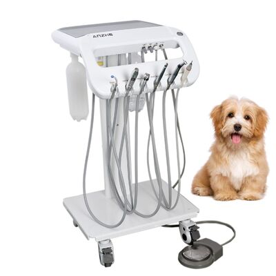 Good price Portable Veterinary Dental Unit for Pets | Mobile Vet Dental Treatment Machine with Scaler & Handpieces | Factory Direct online