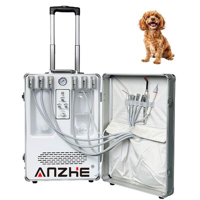 Portable Pet Dental Treatment Unit with 550W Power and 0.8Mpa Pressure for Veterinary Dental Care