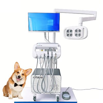 Good price All-in-One Pet Dental Treatment Machine Mobile Veterinary Dental Unit with LED Lamp PC Mobile Vet Dental Cart for Dog Oral Care online