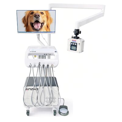 Good price Factory Direct Veterinary Pet Dental Mobile Trolley with X-Ray Unit Portable Vet Dental Treatment Cart OEM Dental Trolley online