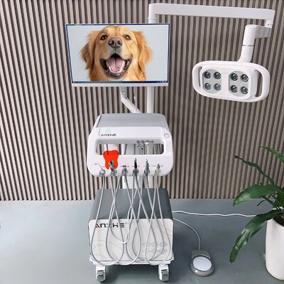 All-in-One Pet Dental Treatment Machine Mobile Veterinary Dental Unit with LED Lamp PC Mobile Vet Dental Cart for Dog Oral Care