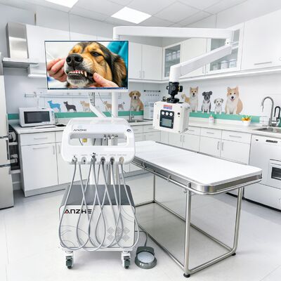 Factory Direct Veterinary Pet Dental Mobile Trolley with X-Ray Unit Portable Vet Dental Treatment Cart OEM Dental Trolley