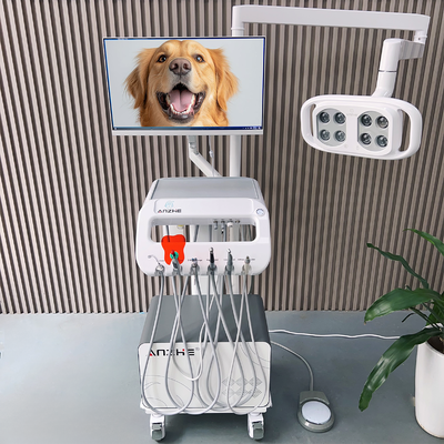 Portable Veterinary Dental Unit with LED Lamp and Air Compressor Mobile Pet Dental Treatment Cart 550W Dental Therapy Machine for Animal Clinic