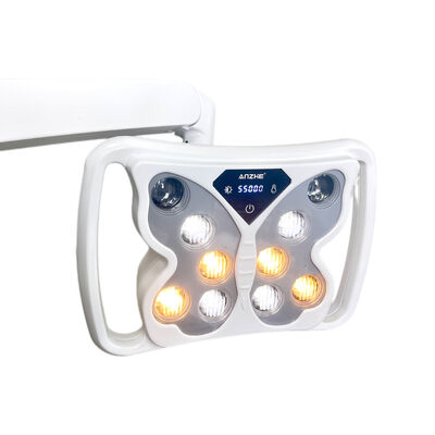 Dental LED Operation Light Shadowless Lamp with Teeth Whitening Function 10 Bulbs Adjustable Dental Chair Light 12-24V OEM Available