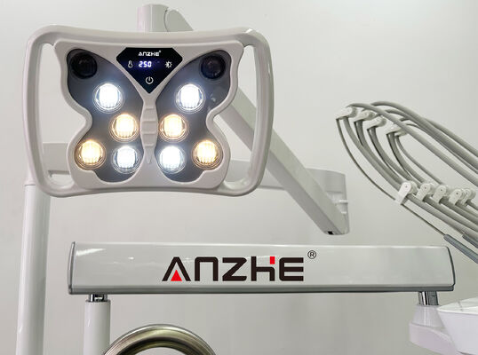 Professional Veterinary Dental Treatment Unit with Silent 32L Air Compressor and 5-Holder Instrument Suite in 304 Stainless Steel