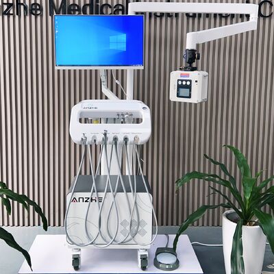 Good price Portable Veterinary Dental Unit with 4K Camera X Ray and Oil Free Compressor for Pet Dental Treatment online