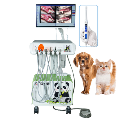 HD Oral Camera Veterinary Dental Workstation All-in-One PC Win10  Mobile Vet Dental System Plug & Play complete veterinary dental solution