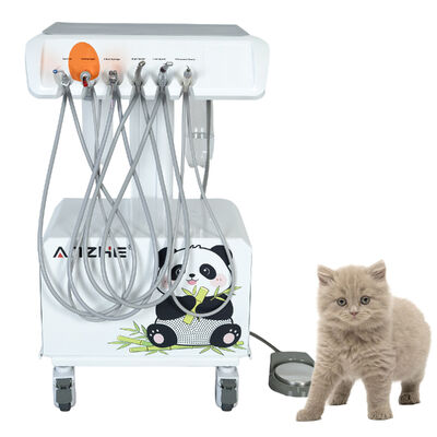 Portable Veterinary Dental Unit with Built in Silent Oil Free Air Compressor Veterinary Dental Workstation with Ultrasonic Scaler LED Curing Light and Suction System for Animal Clinic
