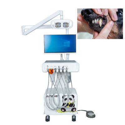 Veterinary Dental Workstation with HD Intraoral Camera LED Examination Light and Built-in Computer System for Animal Hospitals
