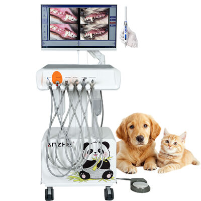 Portable Veterinary Dental Unit with HD Oral Camera and All in One Computer Integrated Dental System for Animal Clinics