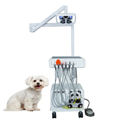 Portable Veterinary Dental Unit with Butterfly LED Lamp Built In Air Compressor Ultrasonic Scaler LED Curing Light Suction System for Animal Dental Clinics