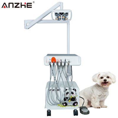 Portable Veterinary Dental Unit with Butterfly LED Lamp Built In Air Compressor Ultrasonic Scaler LED Curing Light Suction System Mobile Animal Dental Workstation