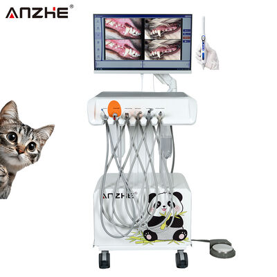 Portable Veterinary Dental Unit with HD Oral Camera and All In One Computer Built In Air Compressor Veterinary Dental Workstation for Animal Dental Clinics