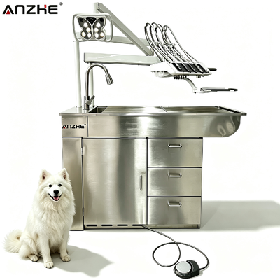 Veterinary Dental Workstation with LED Surgical Light