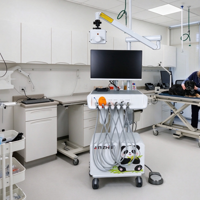 550W Veterinary Dental Workstation with 0.8Mpa Pressure and 58DB Noise for Animal Clinics